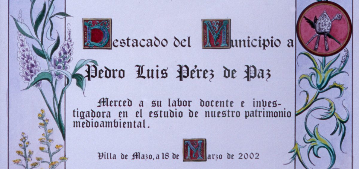 2002_Premios y Distinciones_Villa de Mazo